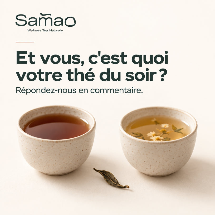Rooibos ou infusion : lequel choisir pour le soir ? Le comparatif Image