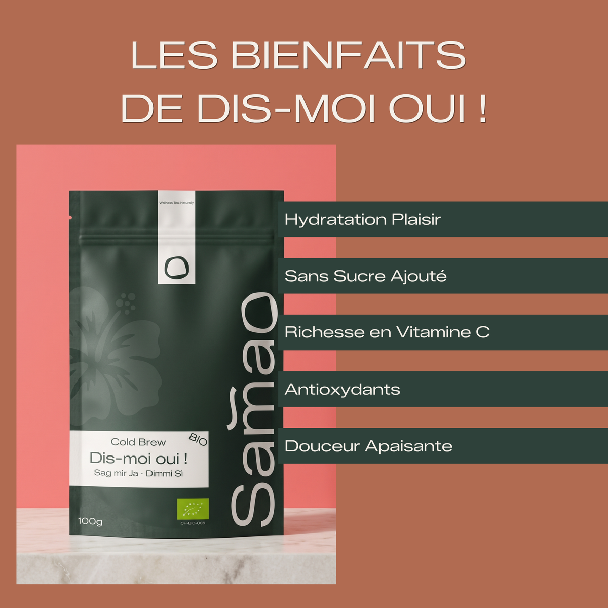 Infusion aux Fruits Bio - Dis-moi oui ! (Cold Brew)