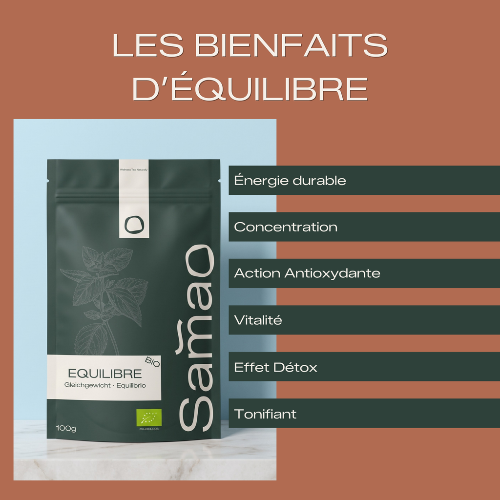 Thé Vert & Maté Bio - Équilibre