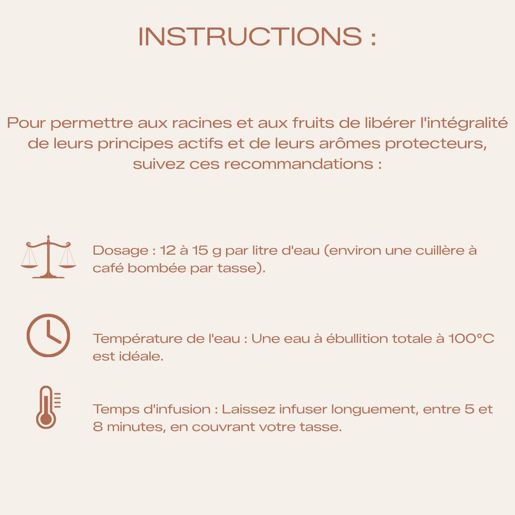 Tisane Bio L'hivernal - Bouclier & Protection