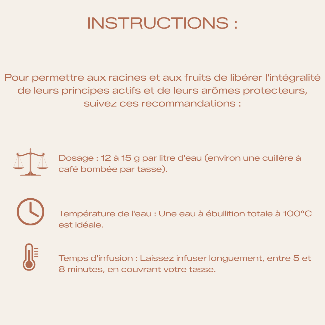 Tisane Bio L'hivernal - Bouclier & Protection