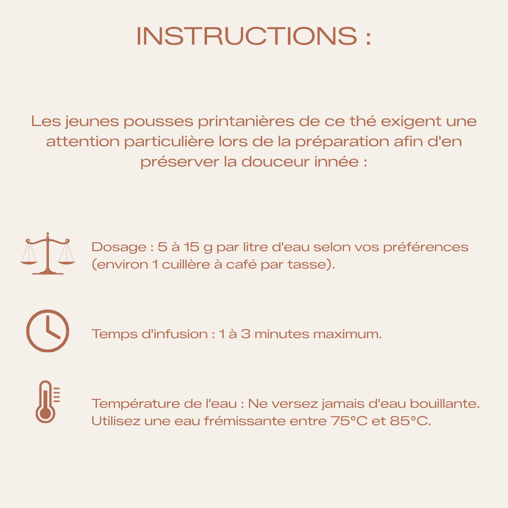 Thé Vert Bio d'Exception - Chine Pi Lo Chun