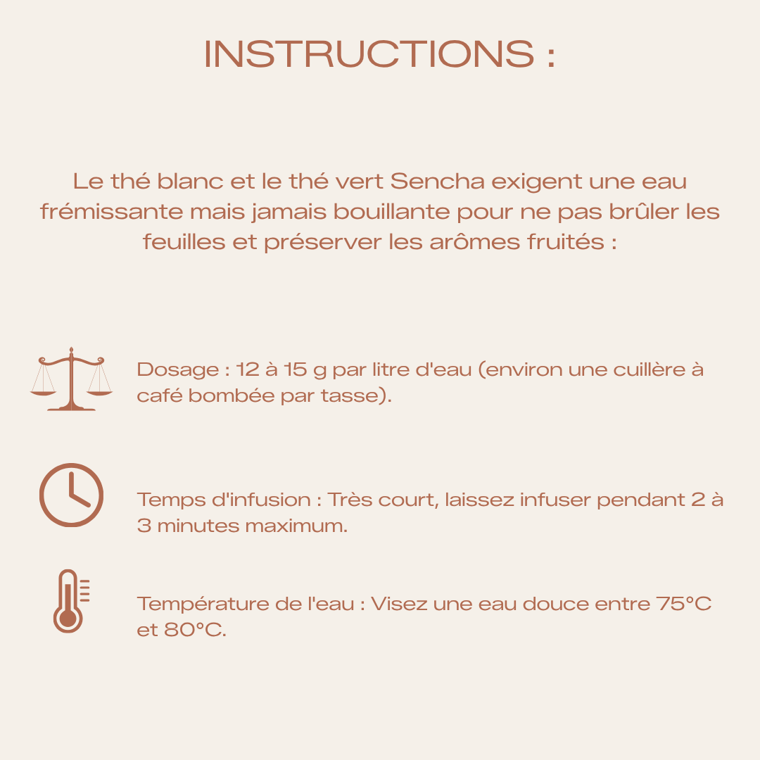 Thé Vert & Blanc Bio - Éveille-moi