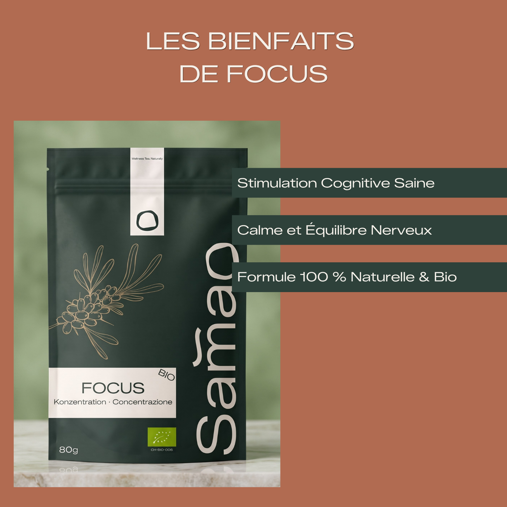 Infusion Énergisante Bio - Focus