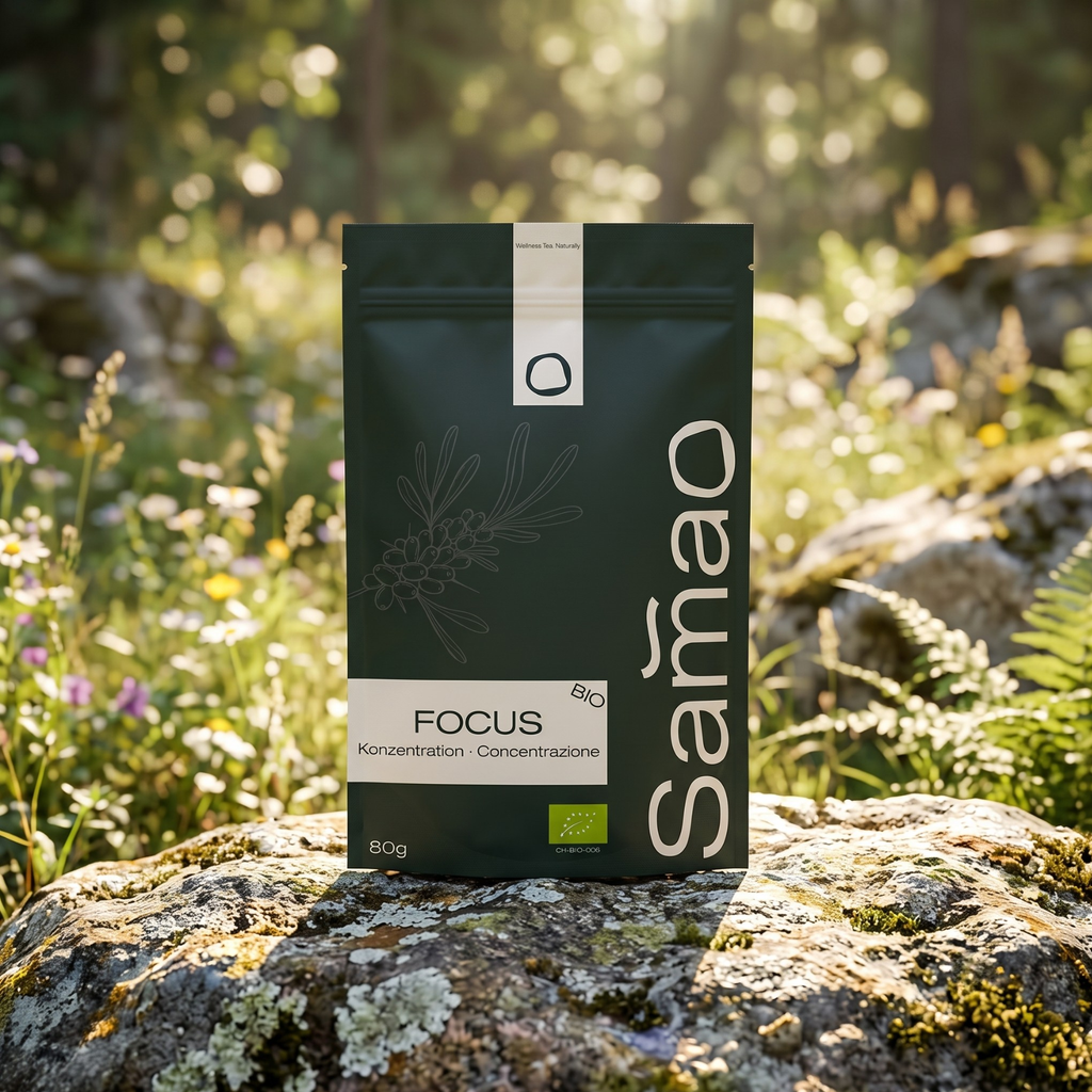 Infusion Énergisante Bio - Focus