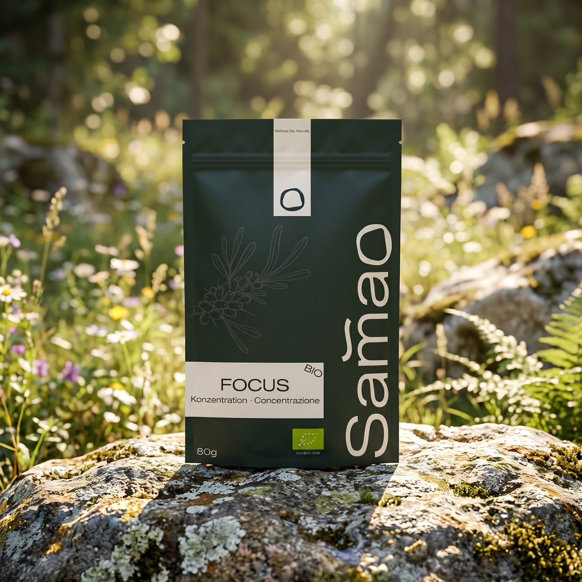 Infusion Énergisante Bio - Focus