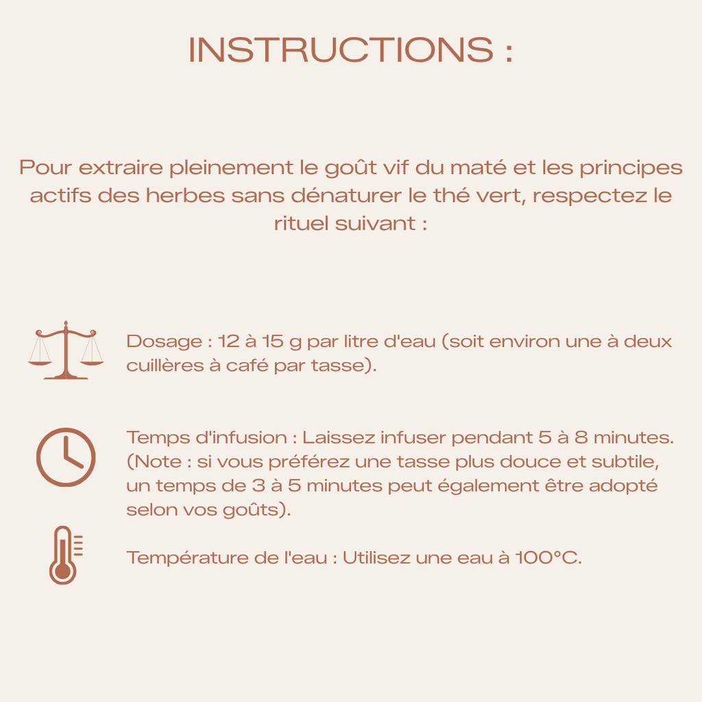 Infusion Énergisante Bio - Focus