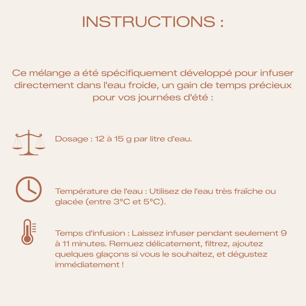 Thé Glacé Bio Garde la pêche - Cold Brew Premium