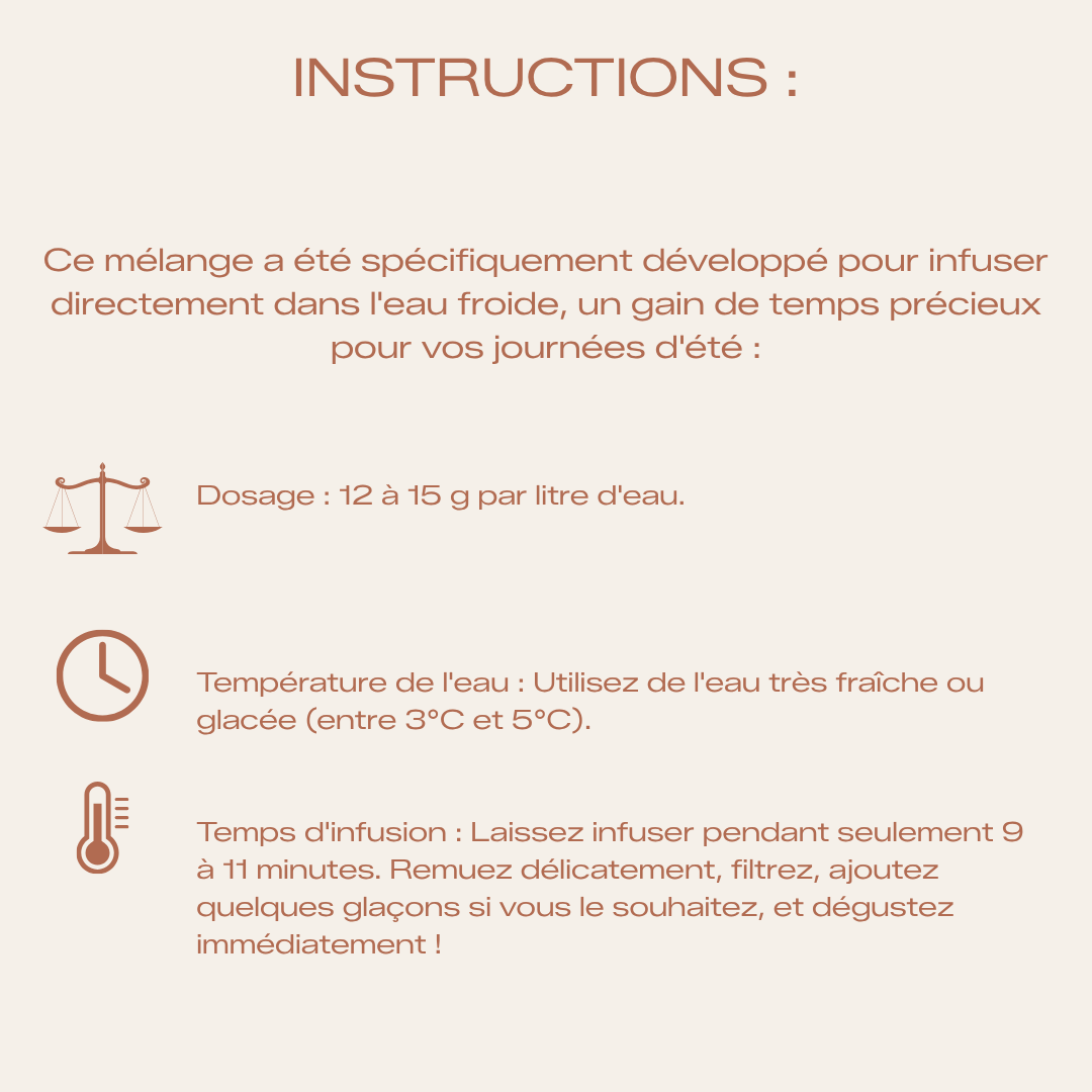 Thé Glacé Bio Garde la pêche - Cold Brew Premium