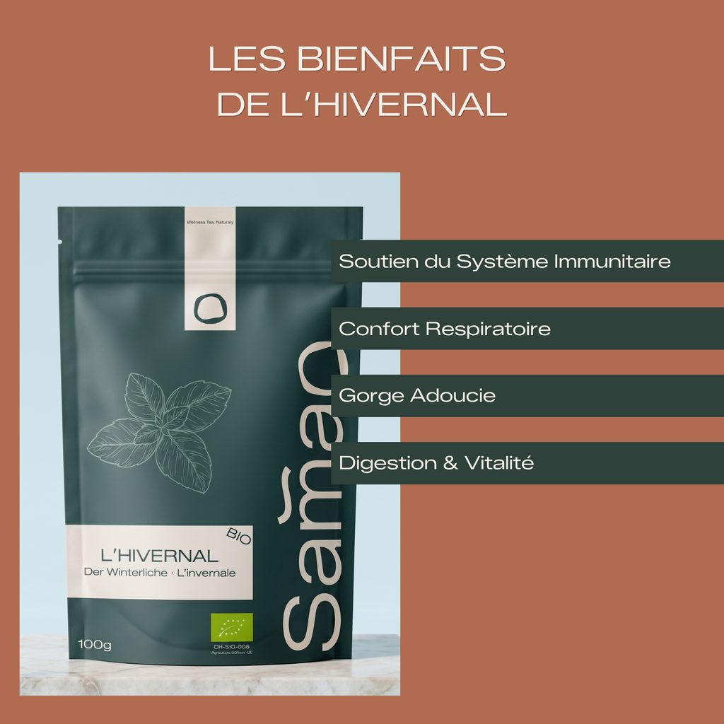 Tisane Bio L'hivernal - Bouclier & Protection