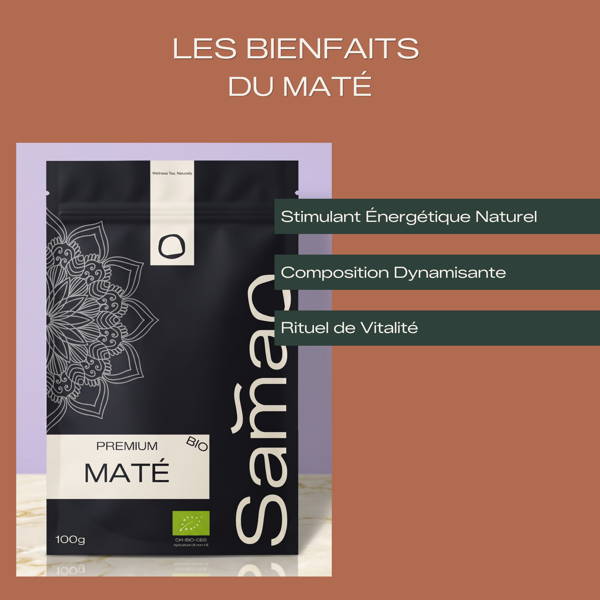 Maté Bio du Brésil - Énergie & Tradition