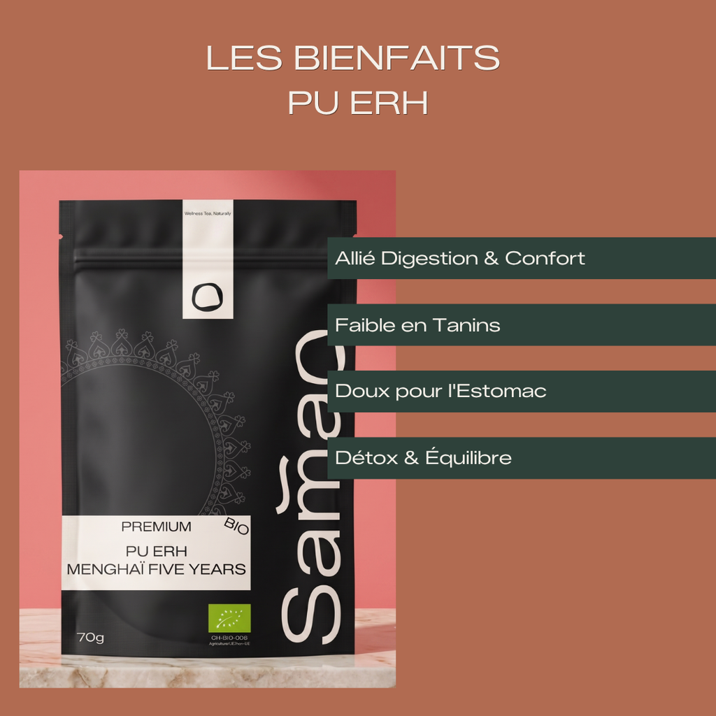 Grand Cru Pu Erh Menghaï 5 Ans d'Âge Bio