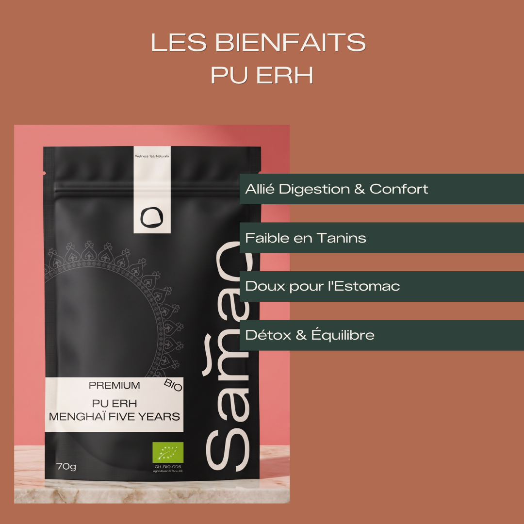 Grand Cru Pu Erh Menghaï 5 Ans d'Âge Bio