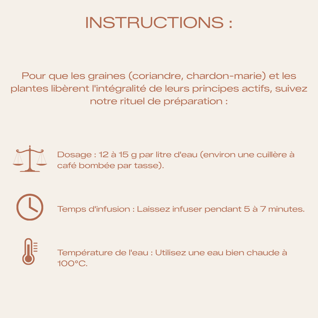 Maté & Plantes Détox Bio - Voyage à Berne