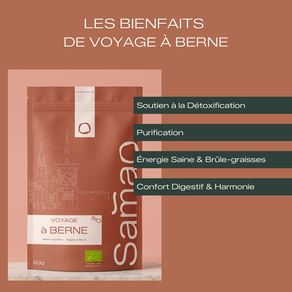 Maté & Plantes Détox Bio - Voyage à Berne