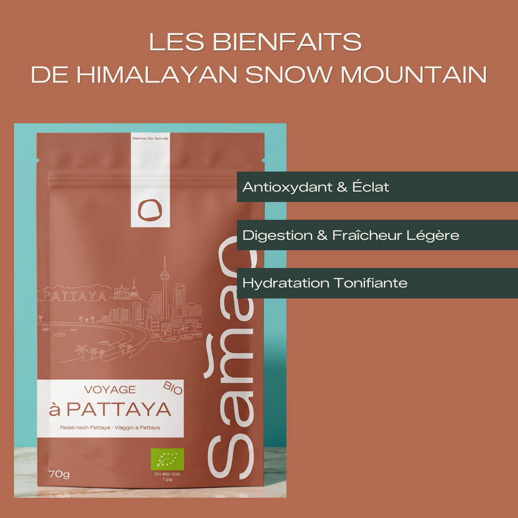 Thé Blanc & Vert Bio - Voyage à Pattaya