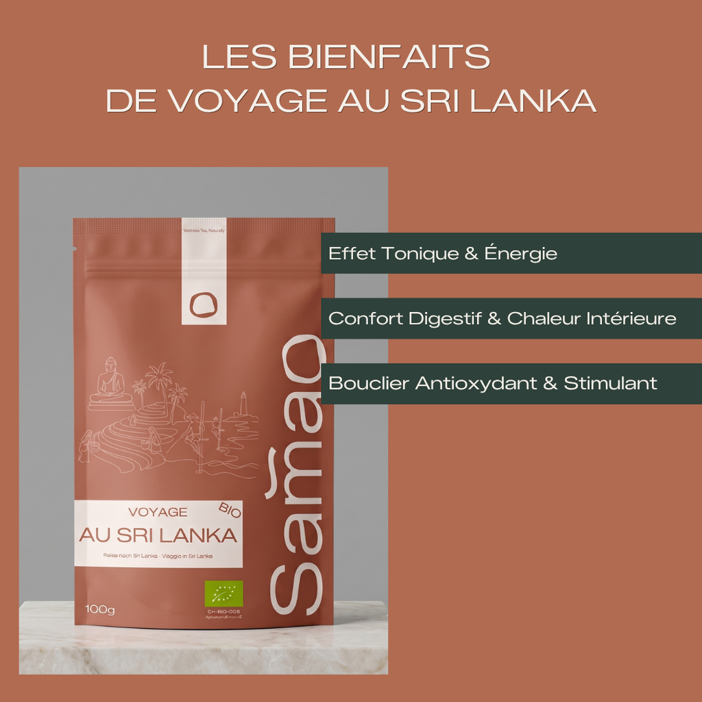 Thé Noir Bio Voyage au Sri Lanka - Épices Intenses & Ceylan