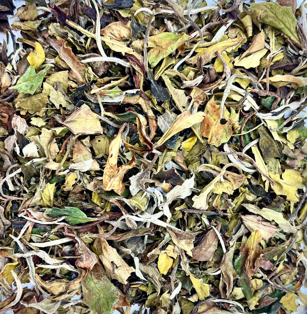 Thé blanc - Chine Pai Mu Tan 40gr. - SAMAO TEA